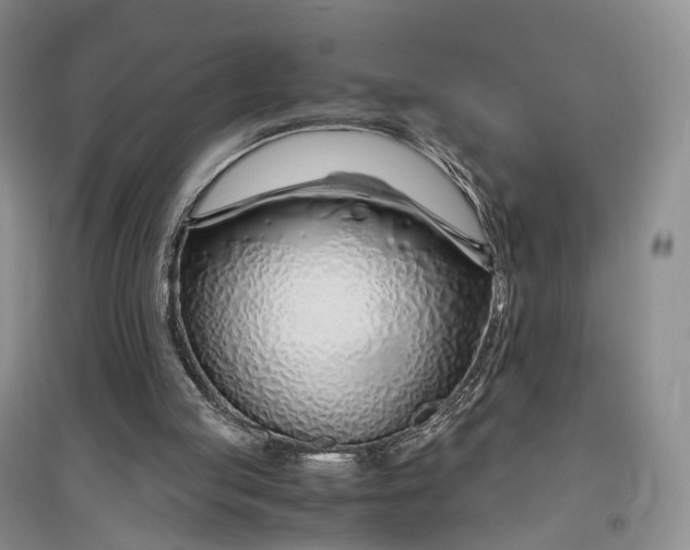 X0000097300053200802291822