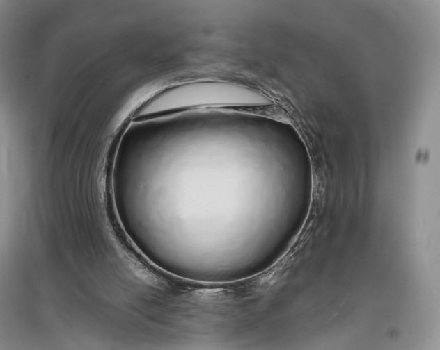 X0000097300054200802291822