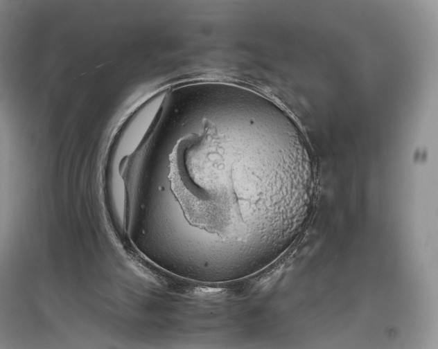 X0000097300055200802291822