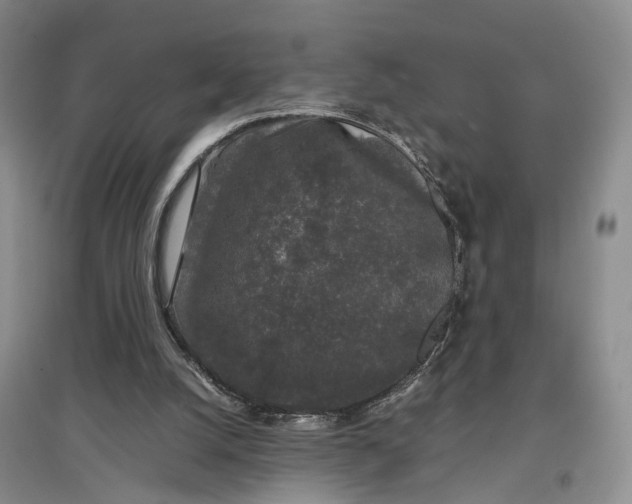 X0000097300056200802291822