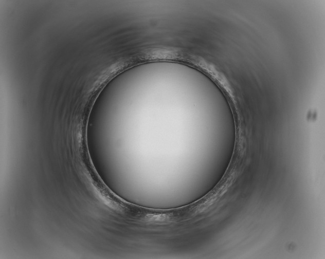 X0000097300057200802291822