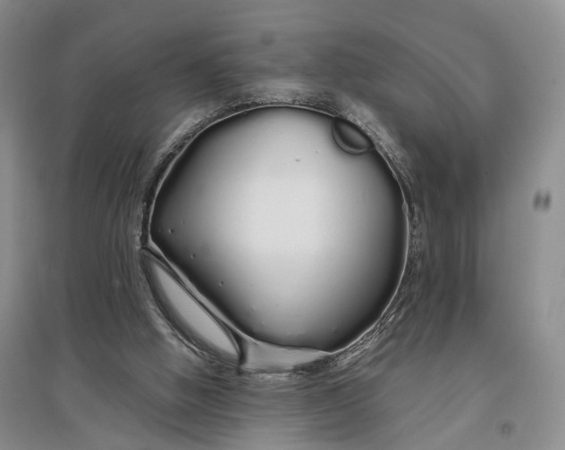 X0000097300058200802291822