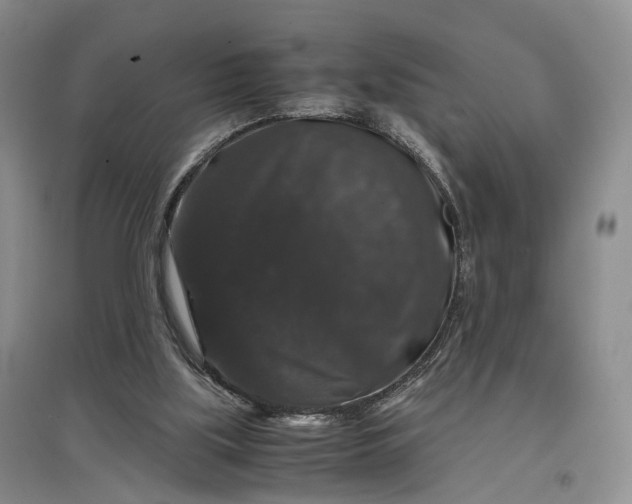 X0000097300059200802291822