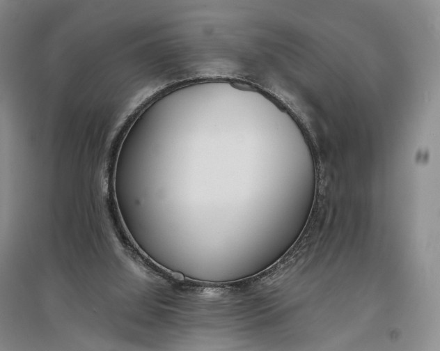 X0000097300060200802291822