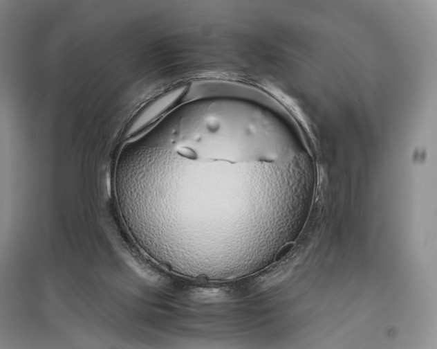 X0000097300061200802291822