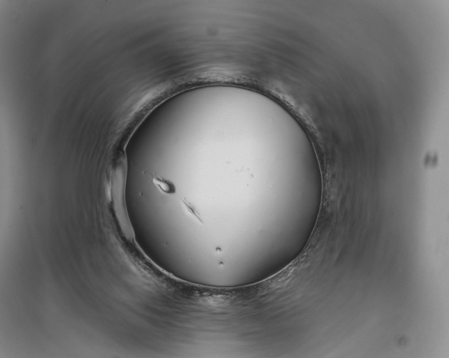 X0000097300062200802291822