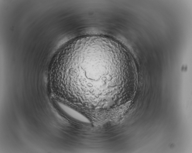 X0000097300063200802291822