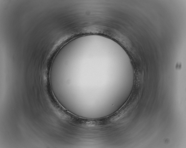 X0000097300064200802291822