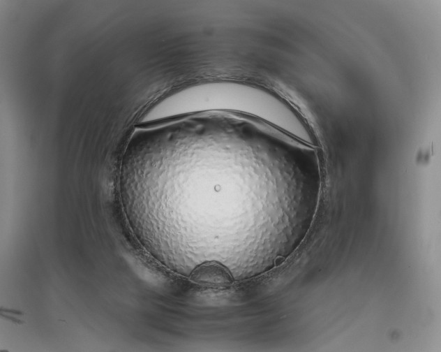 X0000097300065200802291822