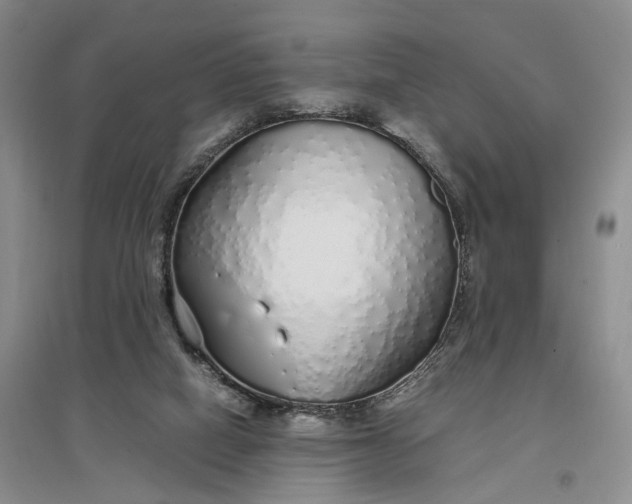 X0000097300066200802291822