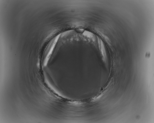 X0000097300067200802291822