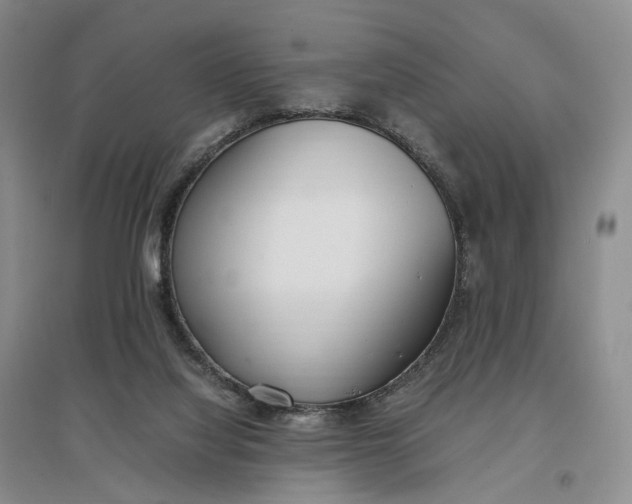 X0000097300068200802291822