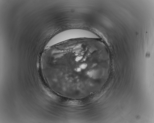 X0000097300069200802291822