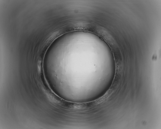 X0000097300070200802291822