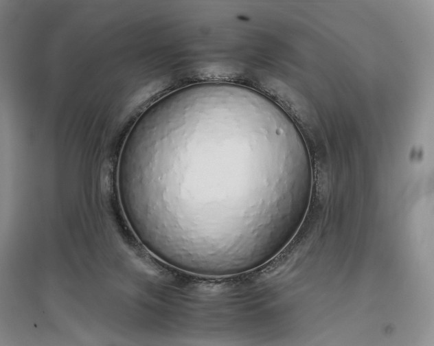 X0000097300071200802291822