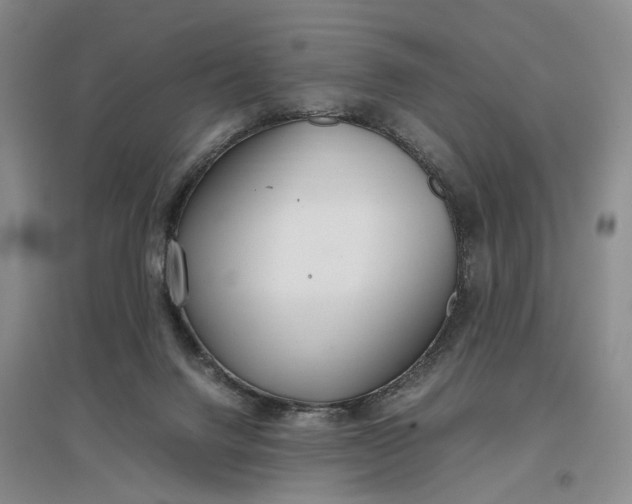 X0000097300072200802291822