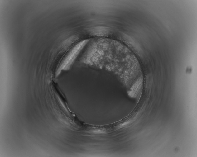 X0000097300073200802291822