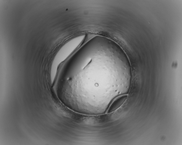 X0000097300074200802291822