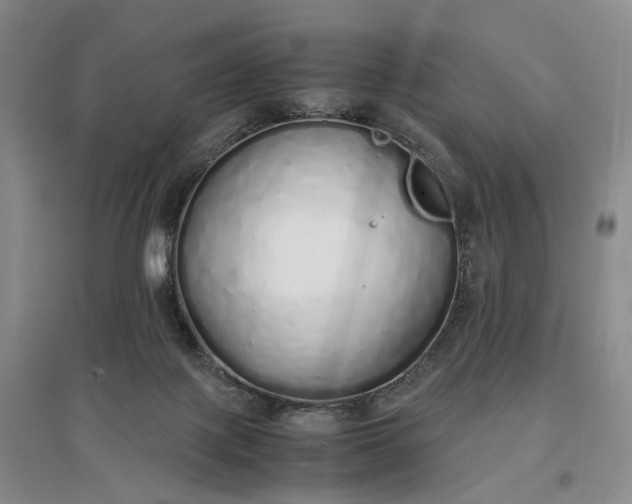 X0000097300075200802291822