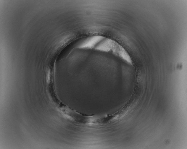 X0000097300076200802291822