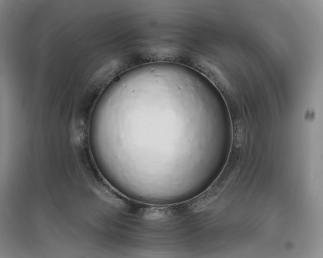 X0000097300077200802291822