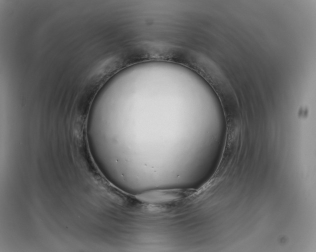 X0000097300078200802291822