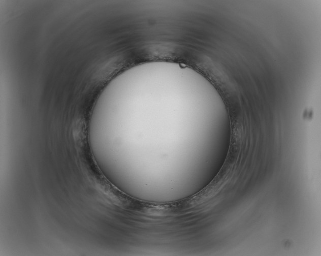 X0000097300079200802291822