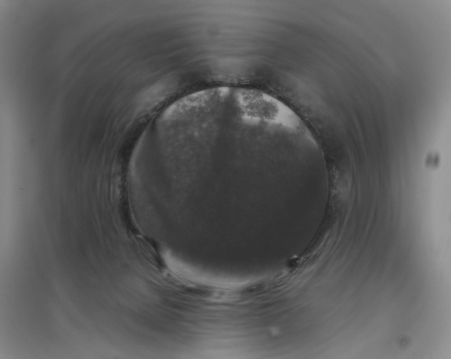 X0000097300080200802291822