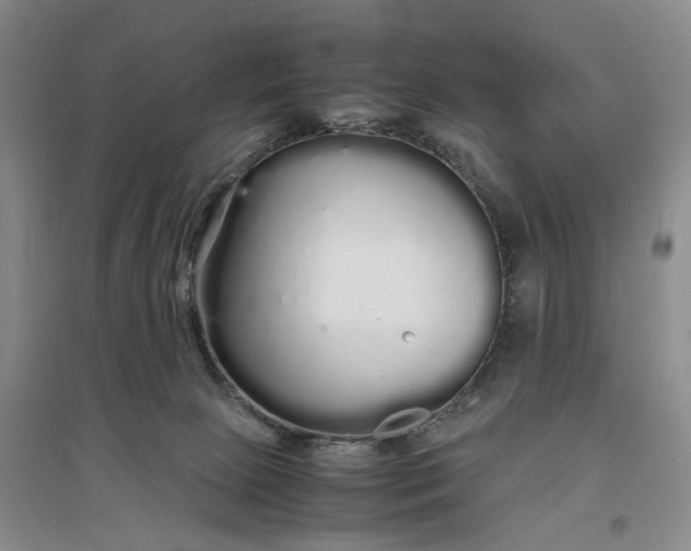 X0000097300081200802291822