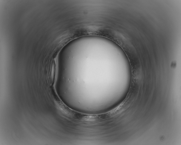 X0000097300082200802291822