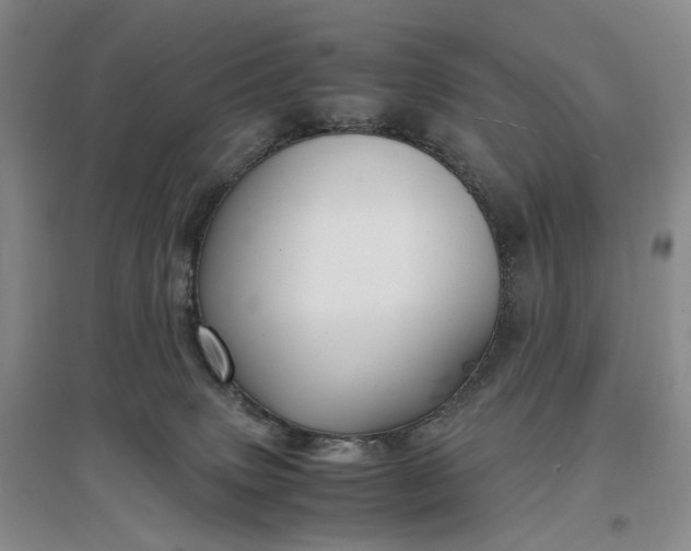 X0000097300083200802291822