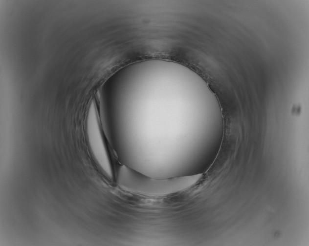 X0000097300084200802291822