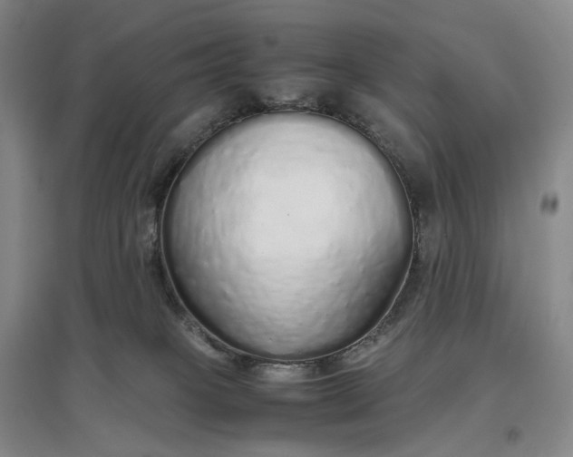 X0000097300085200802291822