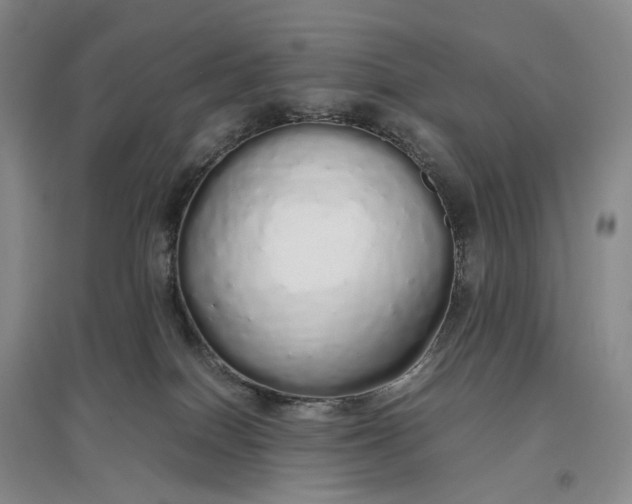 X0000097300086200802291822