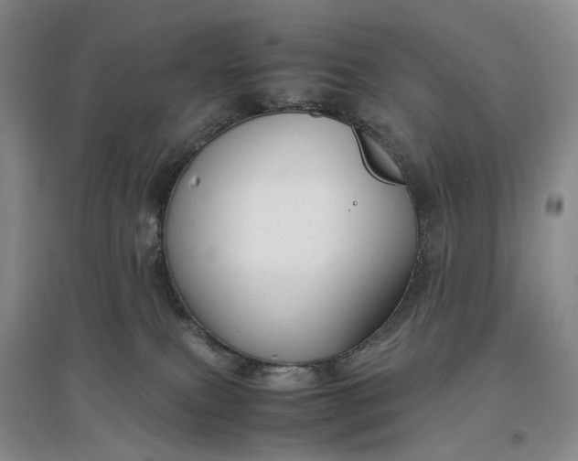 X0000097300087200802291823