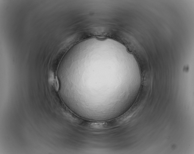 X0000097300089200802291823