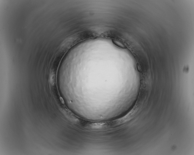 X0000097300090200802291823