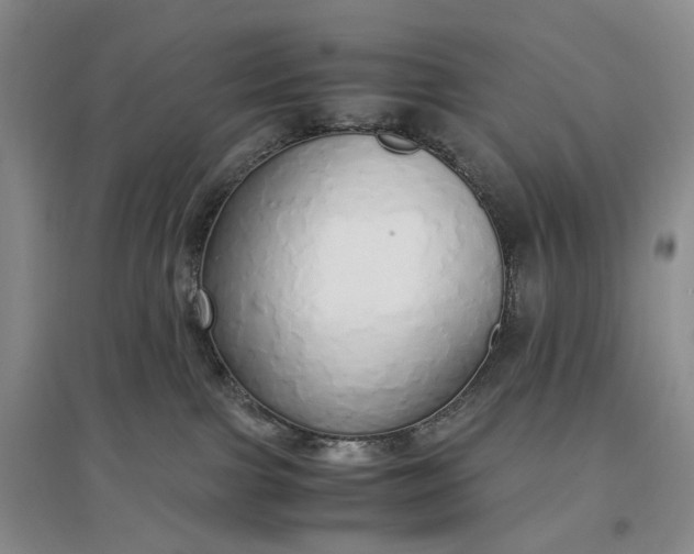 X0000097300091200802291823