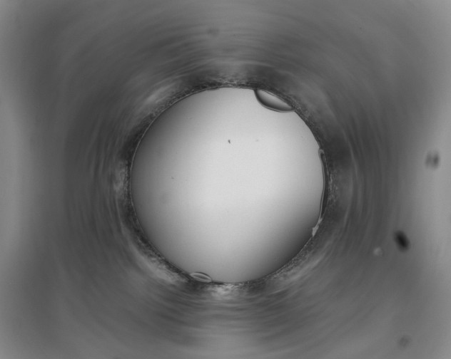 X0000097300092200802291823