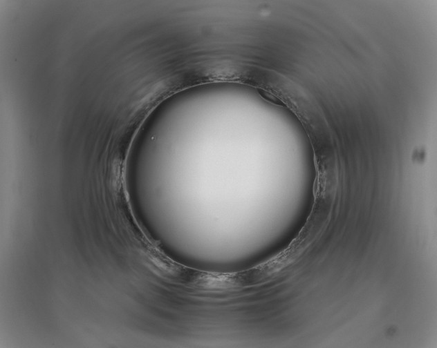 X0000097300093200802291823