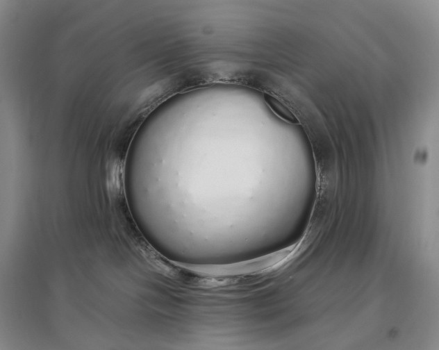 X0000097300094200802291823