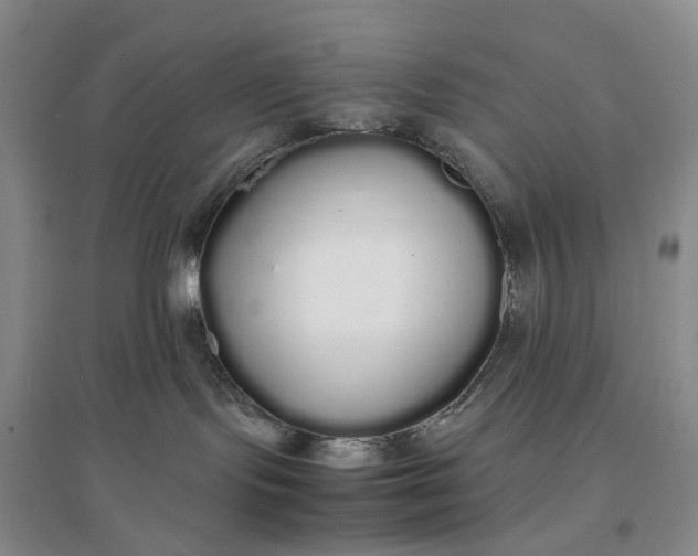 X0000097300095200802291823