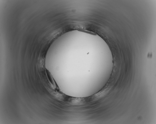 X0000097300096200802291823