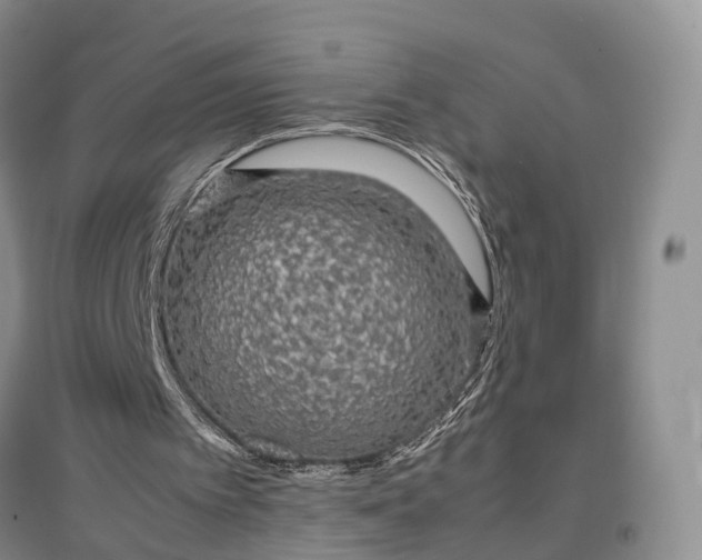 X0000097300097200802291822