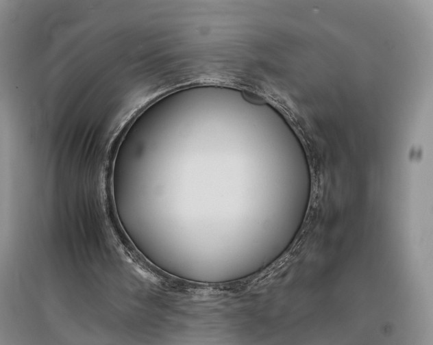 X0000097300098200802291822