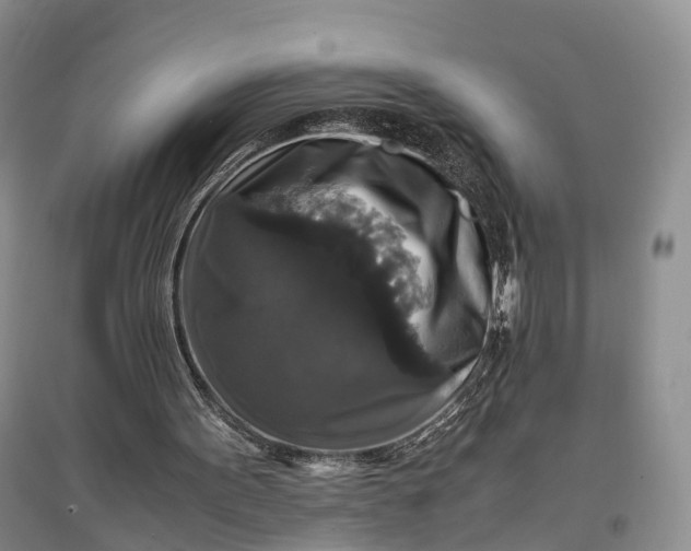 X0000097300099200802291822