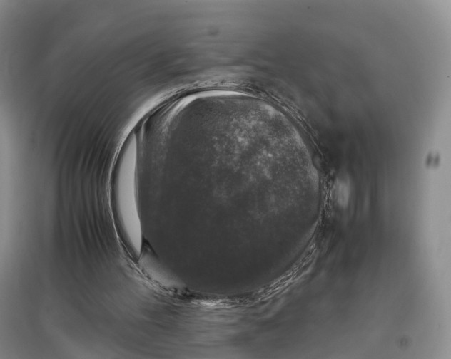 X0000097300100200802291822