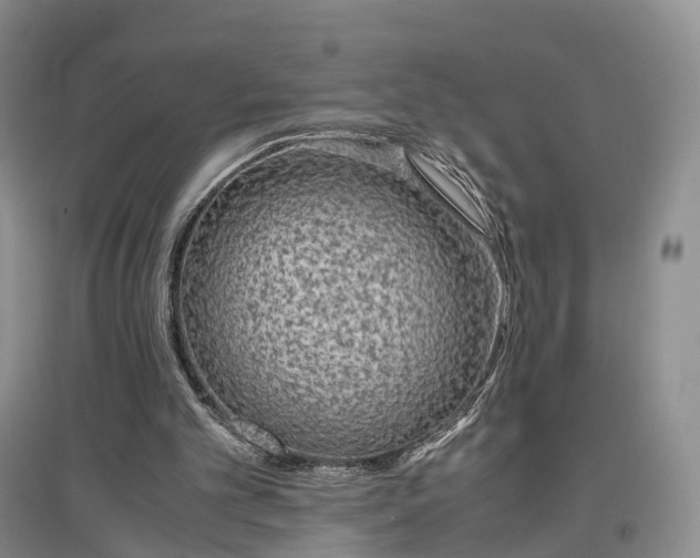 X0000097300101200802291822