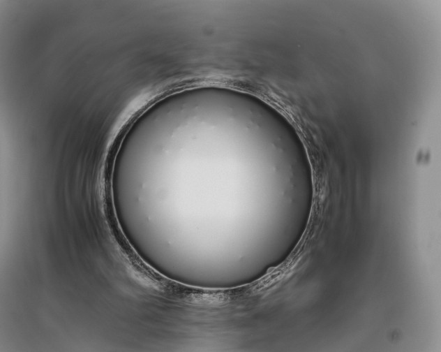 X0000097300102200802291822