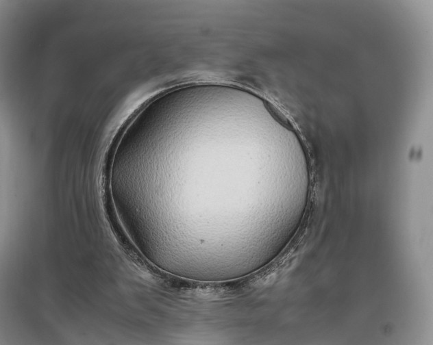 X0000097300103200802291822